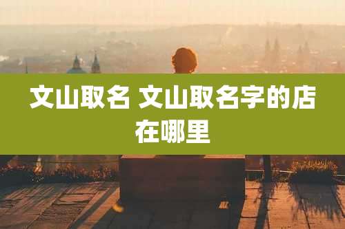 文山取名 文山取名字的店在哪里