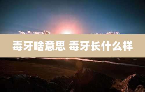 毒牙啥意思 毒牙长什么样