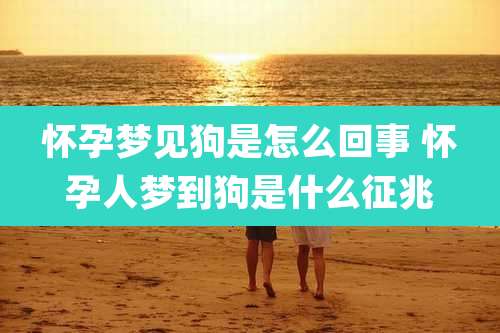 怀孕梦见狗是怎么回事 怀孕人梦到狗是什么征兆