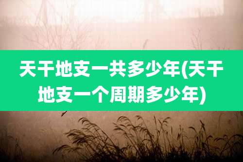 天干地支一共多少年(天干地支一个周期多少年)