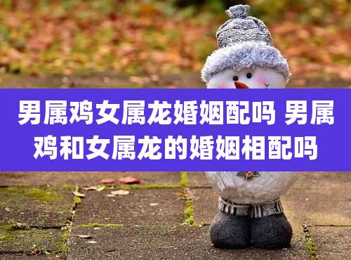 男属鸡女属龙婚姻配吗 男属鸡和女属龙的婚姻相配吗