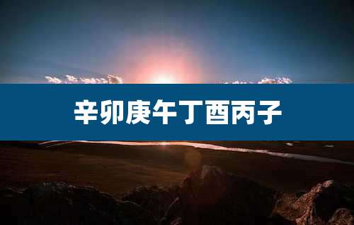 辛卯庚午丁酉丙子