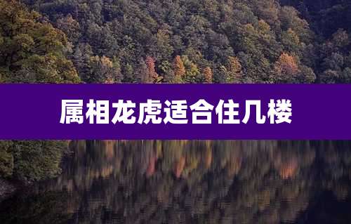 属相龙虎适合住几楼