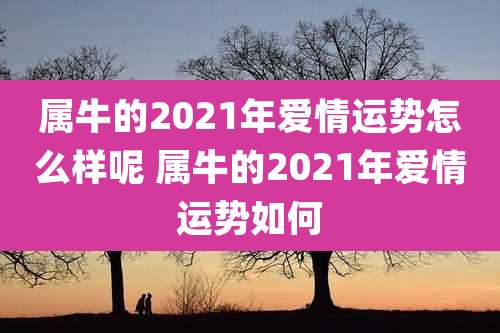 属牛的2021年爱情运势怎么样呢 属牛的2021年爱情运势如何