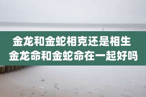 金龙和金蛇相克还是相生 金龙命和金蛇命在一起好吗