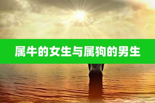 属牛的女生与属狗的男生