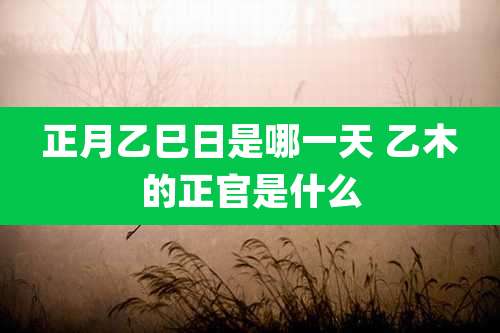正月乙巳日是哪一天 乙木的正官是什么