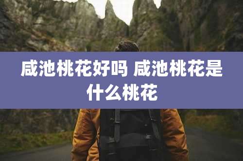 咸池桃花好吗 咸池桃花是什么桃花