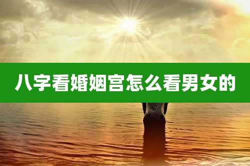 八字看婚姻宫怎么看男女的