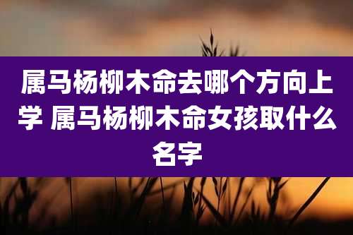 属马杨柳木命去哪个方向上学 属马杨柳木命女孩取什么名字