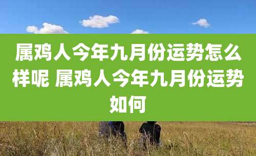 属鸡人今年九月份运势怎么样呢 属鸡人今年九月份运势如何