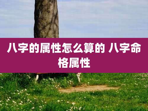 八字的属性怎么算的 八字命格属性