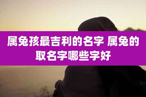 属兔孩最吉利的名字 属兔的取名字哪些字好