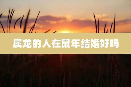 属龙的人在鼠年结婚好吗
