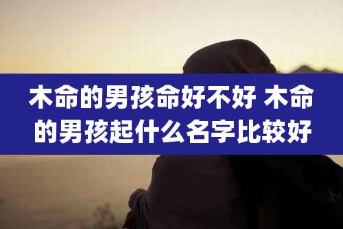 木命的男孩命好不好 木命的男孩起什么名字比较好