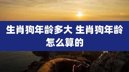 生肖狗年龄多大 生肖狗年龄怎么算的