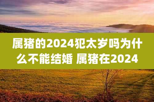 属猪的2024犯太岁吗为什么不能结婚 属猪在2024