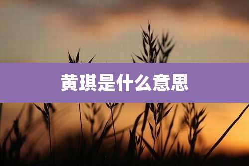 黄琪是什么意思