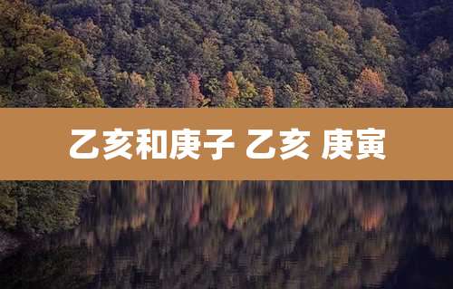 乙亥和庚子 乙亥 庚寅