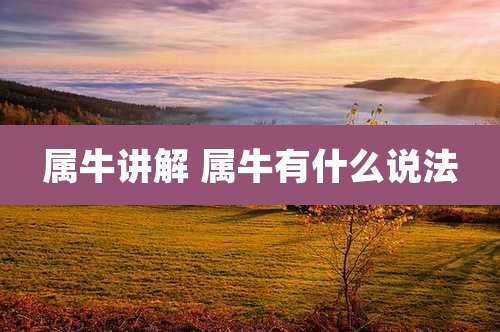 属牛讲解 属牛有什么说法