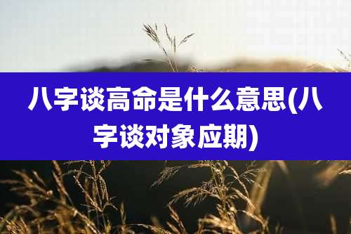 八字谈高命是什么意思(八字谈对象应期)