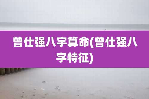 曾仕强八字算命(曾仕强八字特征)