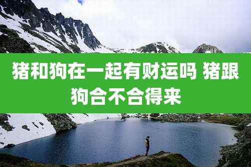 猪和狗在一起有财运吗 猪跟狗合不合得来
