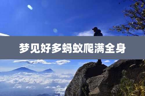 梦见好多蚂蚁爬满全身