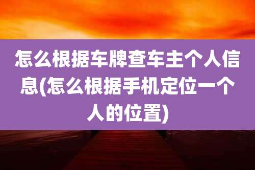 怎么根据车牌查车主个人信息(怎么根据手机定位一个人的位置)