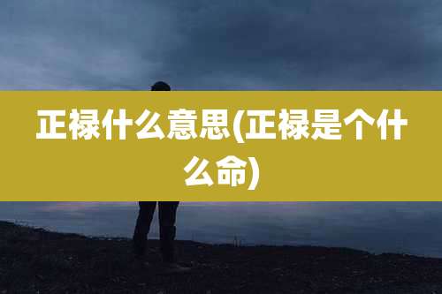 正禄什么意思(正禄是个什么命)