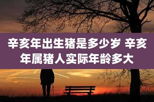 辛亥年出生猪是多少岁 辛亥年属猪人实际年龄多大