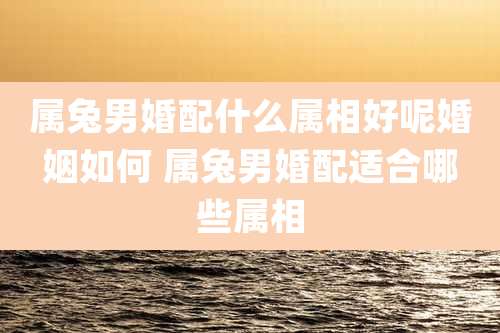 属兔男婚配什么属相好呢婚姻如何 属兔男婚配适合哪些属相