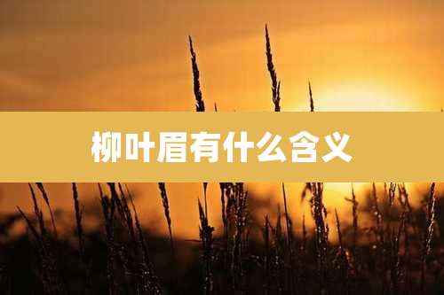 柳叶眉有什么含义