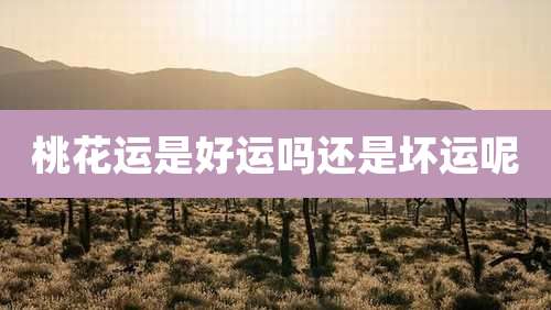 桃花运是好运吗还是坏运呢