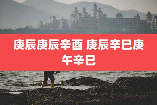 庚辰庚辰辛酉 庚辰辛巳庚午辛巳