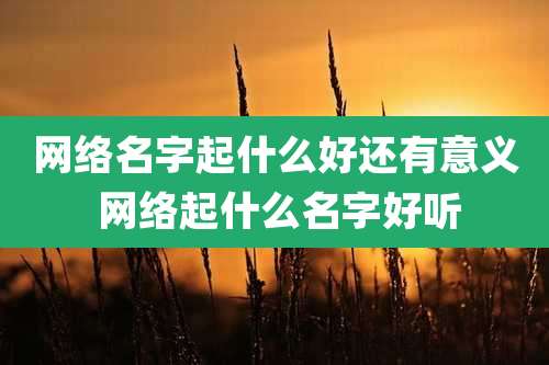 网络名字起什么好还有意义 网络起什么名字好听