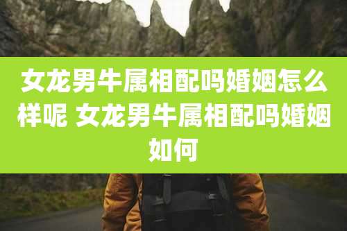 女龙男牛属相配吗婚姻怎么样呢 女龙男牛属相配吗婚姻如何