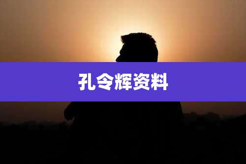 孔令辉资料