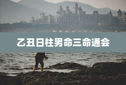 乙丑日柱男命三命通会