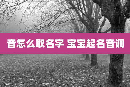 音怎么取名字 宝宝起名音调