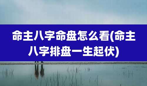 命主八字命盘怎么看(命主八字排盘一生起伏)