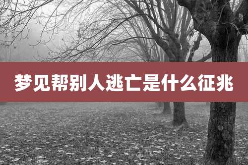 梦见帮别人逃亡是什么征兆