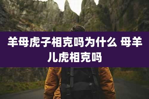 羊母虎子相克吗为什么 母羊儿虎相克吗