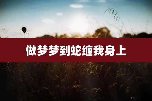 做梦梦到蛇缠我身上