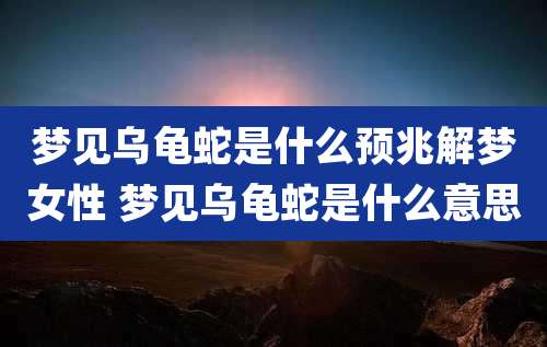 梦见乌龟蛇是什么预兆解梦女性 梦见乌龟蛇是什么意思
