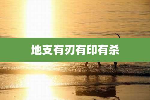地支有刃有印有杀