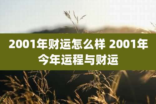 2001年财运怎么样 2001年今年运程与财运
