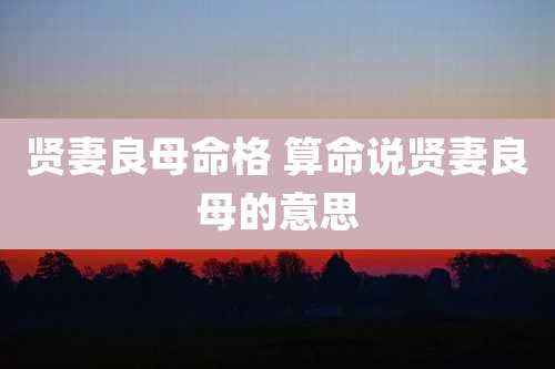 贤妻良母命格 算命说贤妻良母的意思