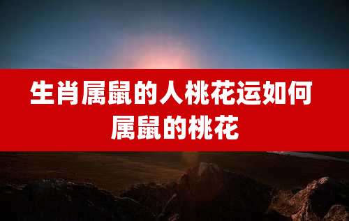 生肖属鼠的人桃花运如何 属鼠的桃花