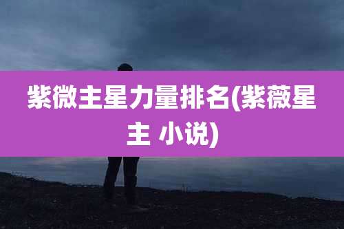 紫微主星力量排名(紫薇星主 小说)